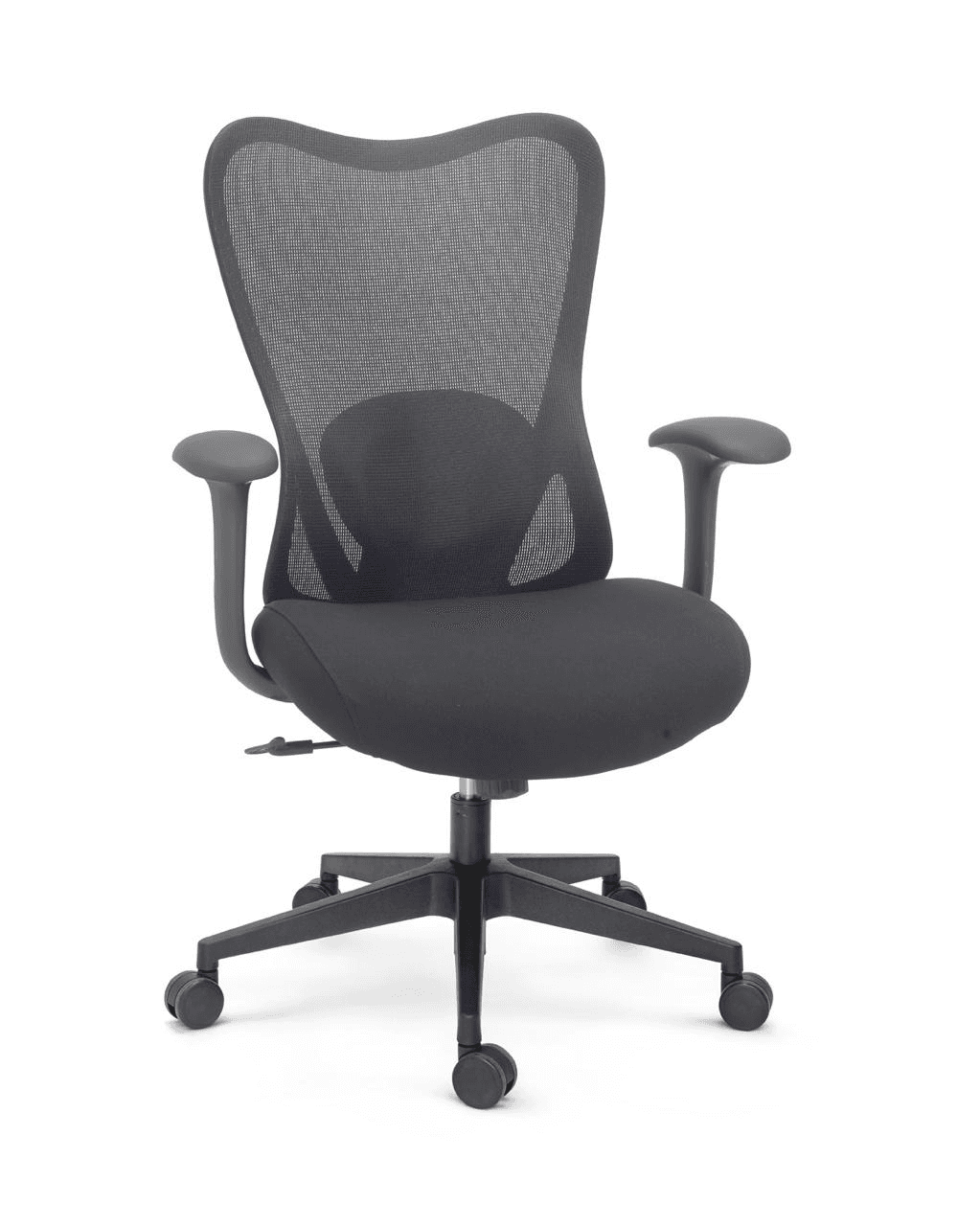 Flexi Lumbar Mesh